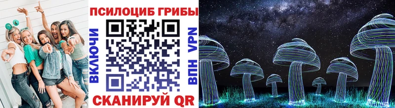 Псилоцибиновые грибы мицелий  Купить закладки  Сковородино 