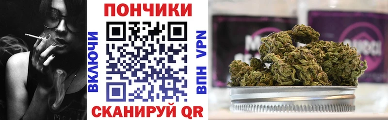 Купить где  Сковородино  Канабис ГИДРОПОН 